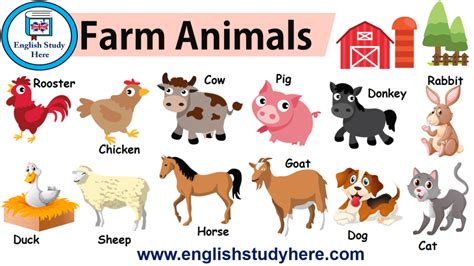 What Is The Cat'S Name In Animal Farm